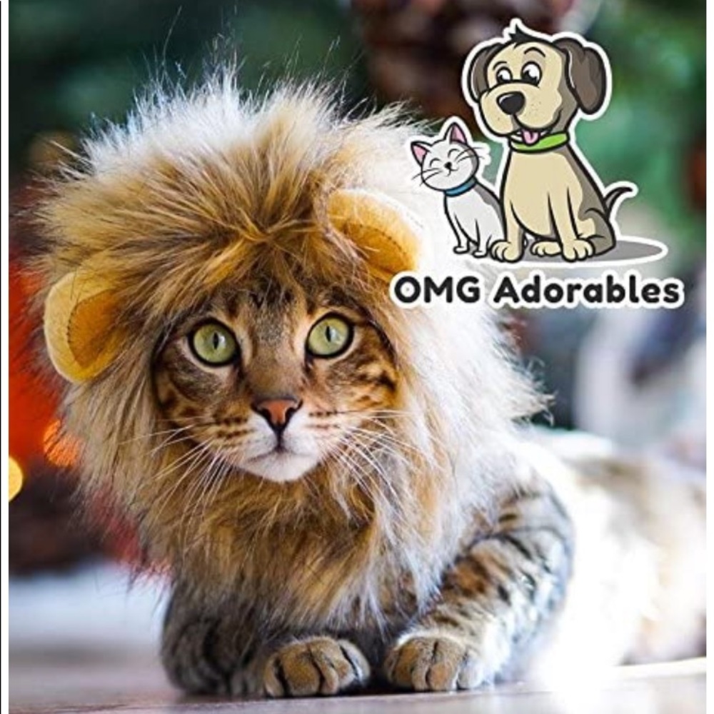 Bundle & Save!!!!! - image 2